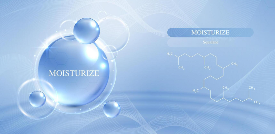 Mechanism Of Moisturizer Absorption